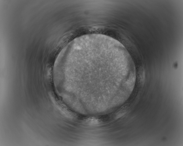 X0000116490276201001061147