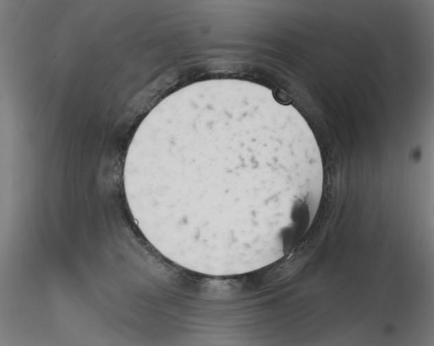 X0000116490277201001061147