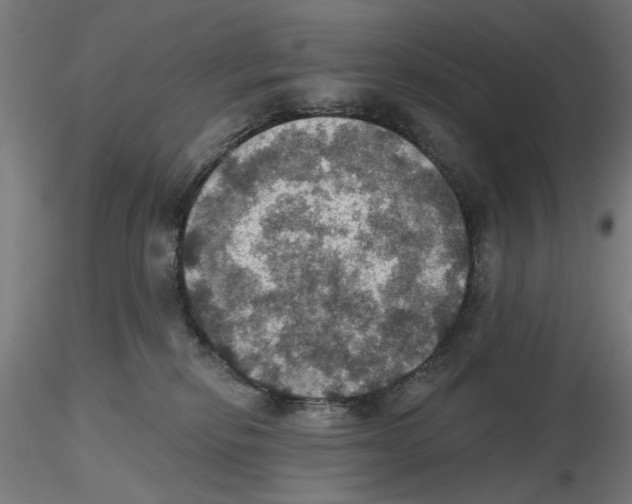 X0000116490278201001061147