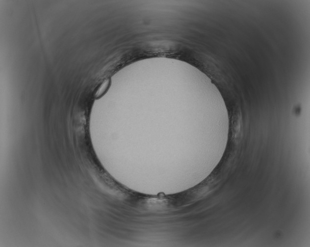 X0000116490279201001061147