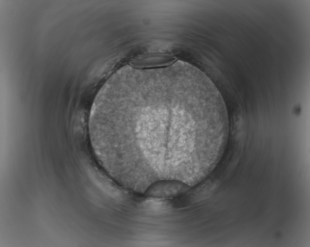 X0000116490280201001061147