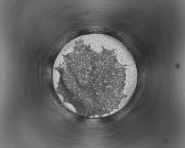 X0000116490281201001061147