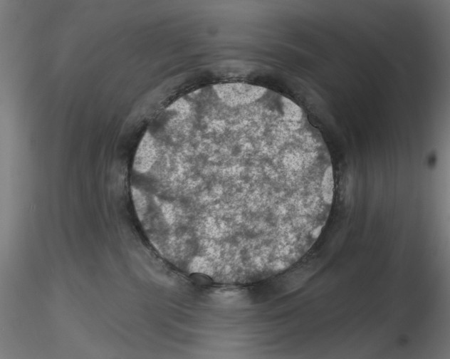 X0000116490283201001061147