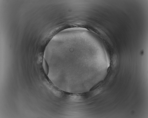 X0000116490284201001061147