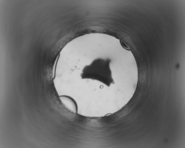 X0000116490285201001061147