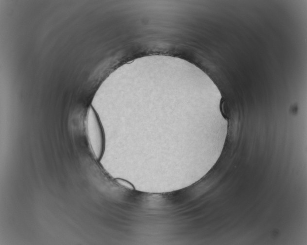 X0000116490287201001061147