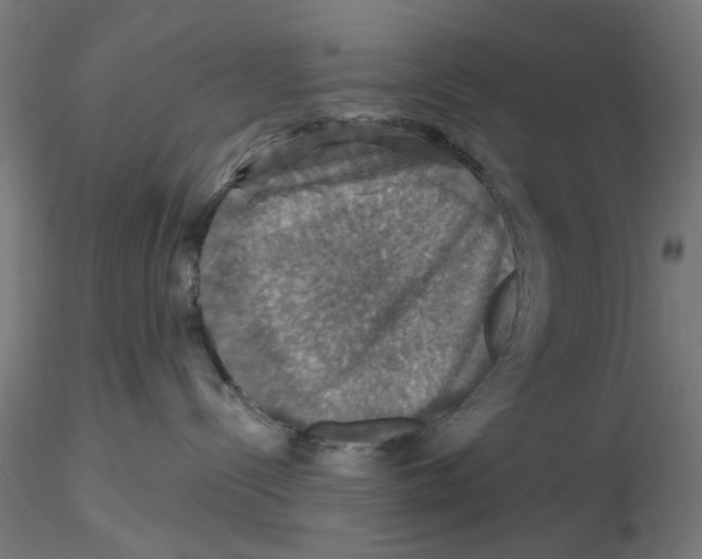 X0000116490288201001061148