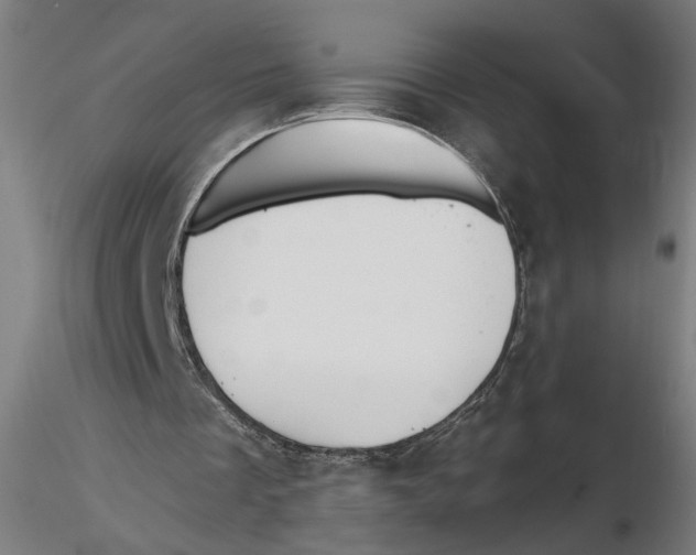 X0000116490289201001061147