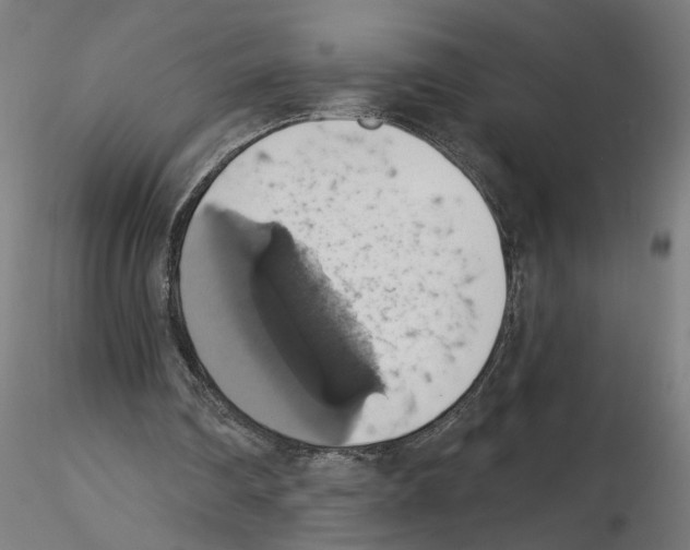 X0000116490290201001061147