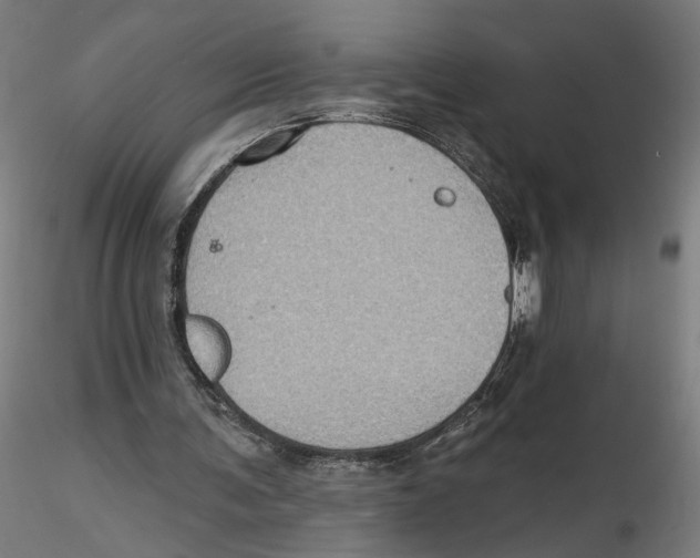 X0000116490291201001061147