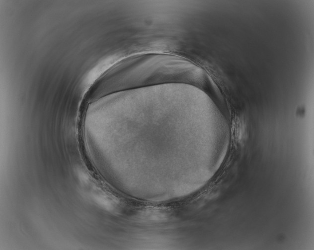 X0000116490292201001061147