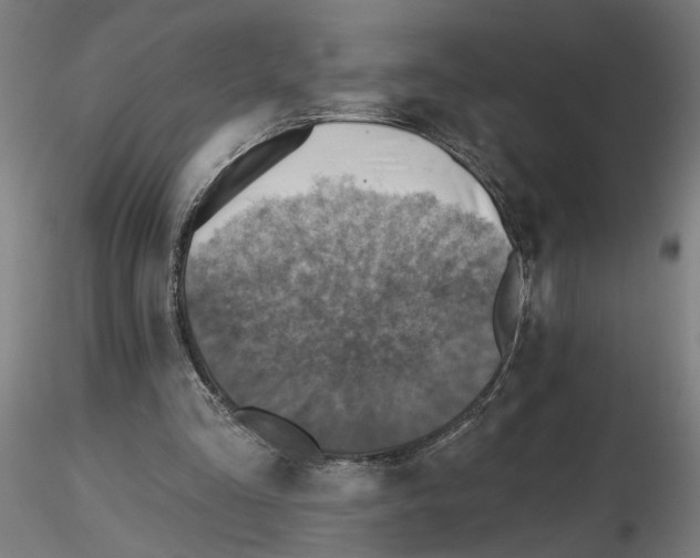 X0000116490293201001061147