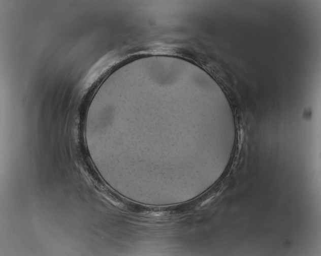 X0000116490295201001061147