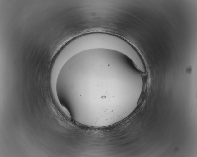 X0000116490297201001061147