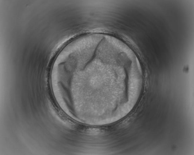 X0000116490298201001061147