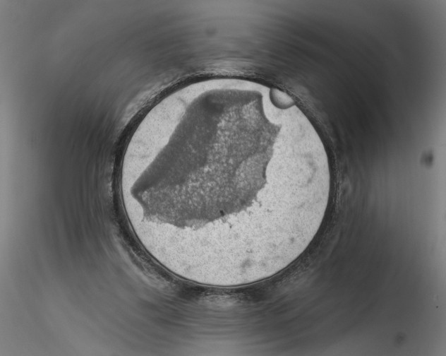 X0000116490299201001061147