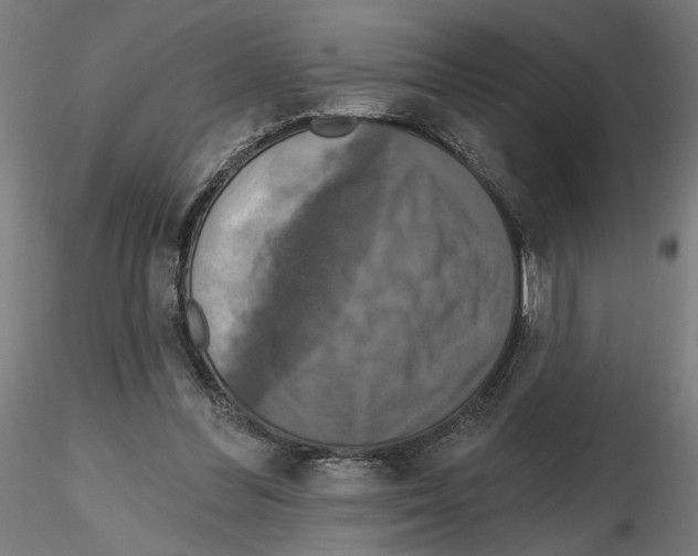 X0000116490300201001061147