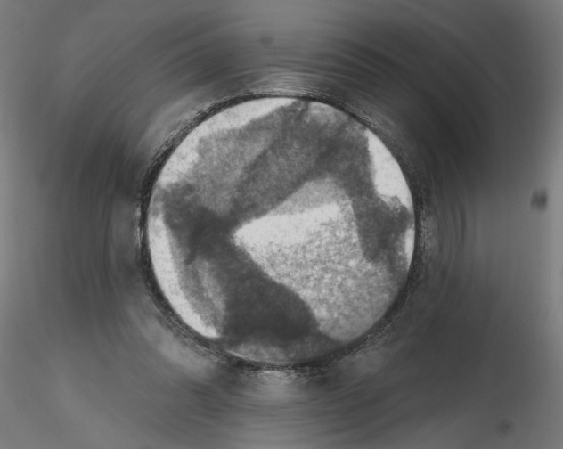 X0000116490302201001061147