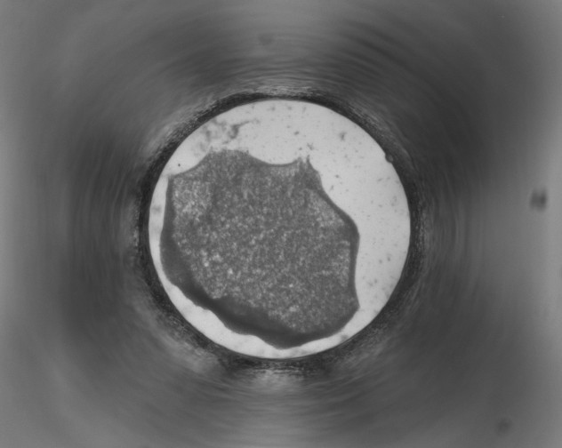 X0000116490303201001061147