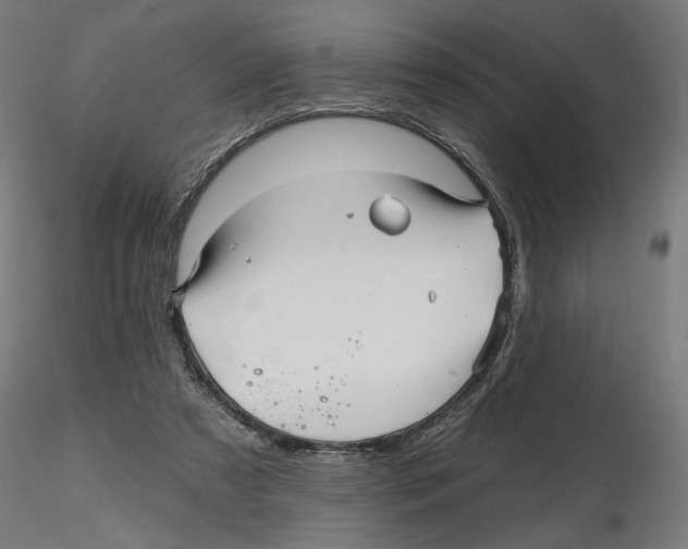 X0000116490305201001061147