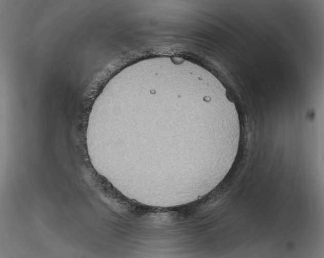 X0000116490307201001061147