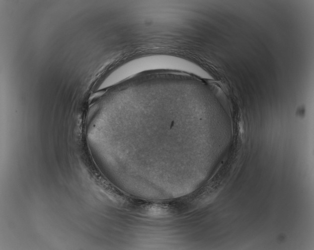 X0000116490308201001061147