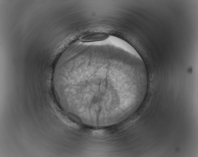 X0000116490309201001061147