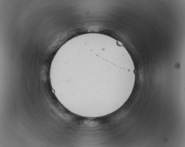 X0000116490311201001061147