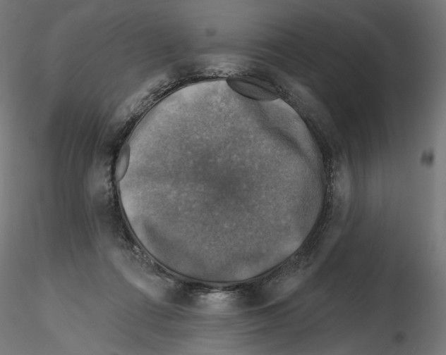 X0000116490312201001061147