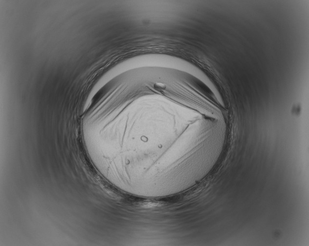 X0000116490313201001061147