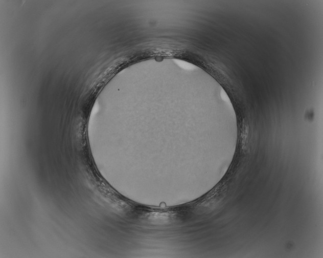 X0000116490314201001061147