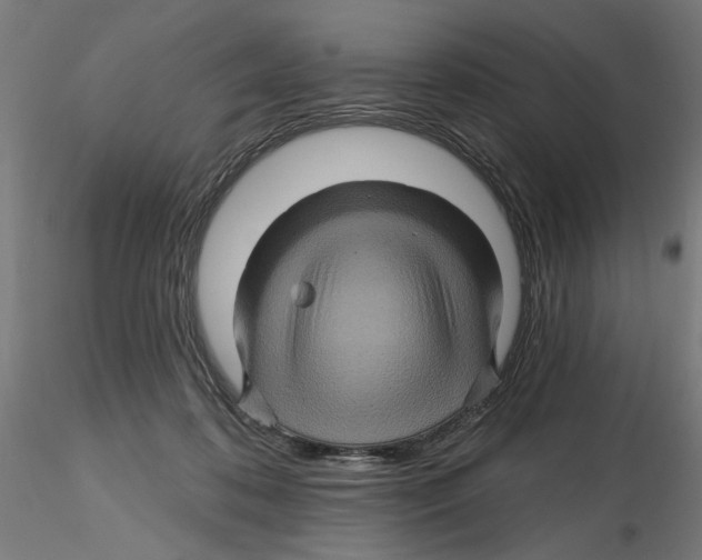 X0000116490316201001061146