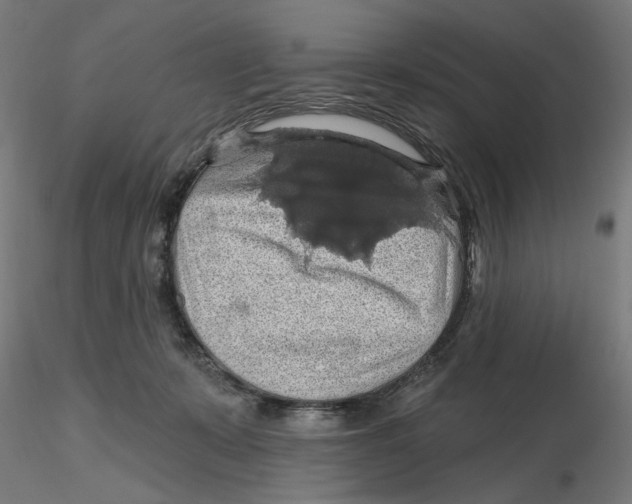 X0000116490319201001061146