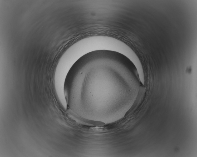 X0000116490320201001061146