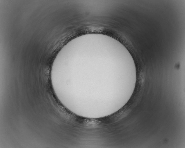 X0000116490321201001061146