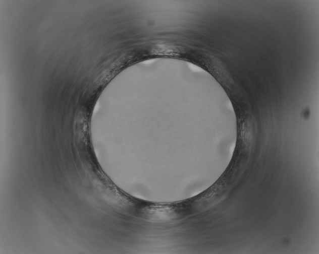 X0000116490322201001061146