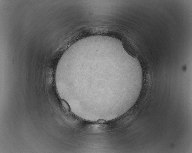 X0000116490323201001061146