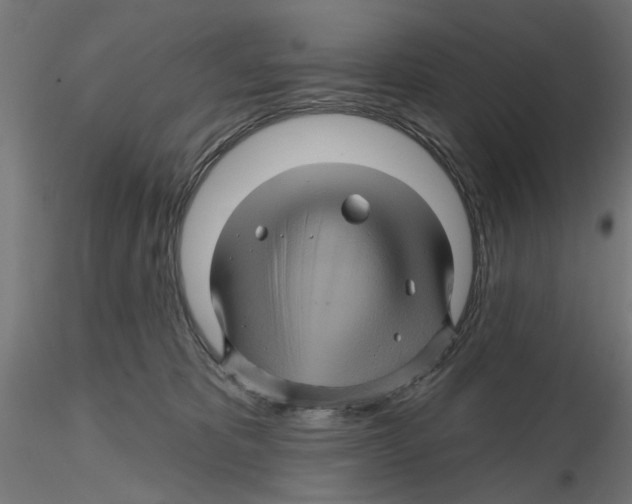 X0000116490325201001061146