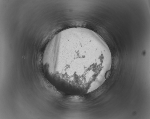 X0000116490326201001061146