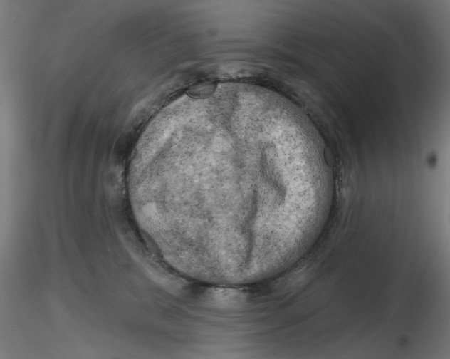 X0000116490327201001061146