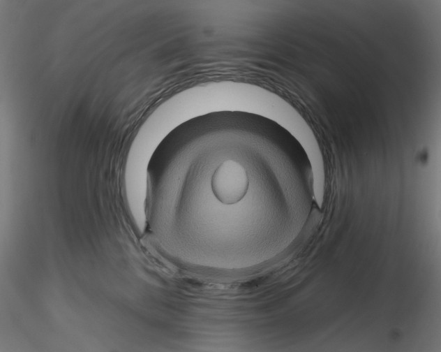 X0000116490328201001061146