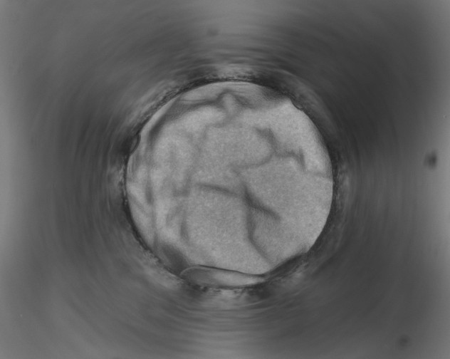 X0000116490329201001061146