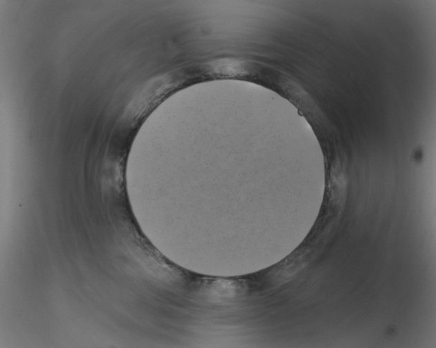 X0000116490330201001061146