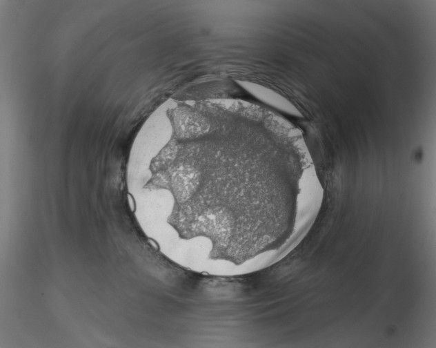 X0000116490331201001061146