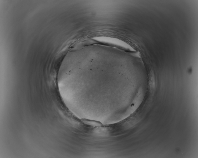 X0000116490332201001061146