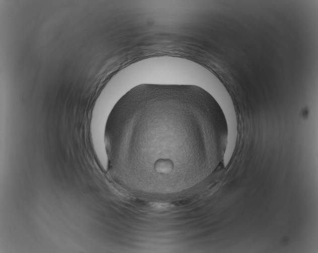 X0000116490333201001061146