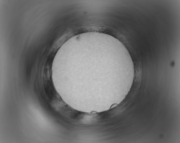 X0000116490334201001061146