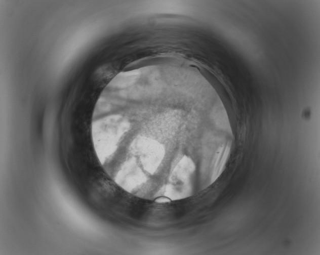 X0000116490335201001061146