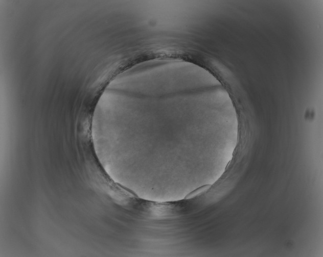 X0000116490336201001061146