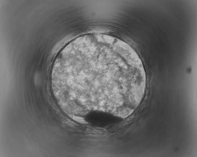 X0000116490337201001061146